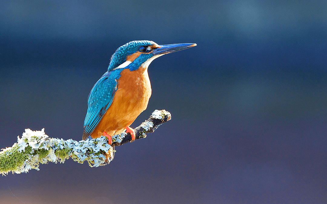 Wissen Sie, ein Mensch in meinem Alter verändert sich ja nicht mehr ...